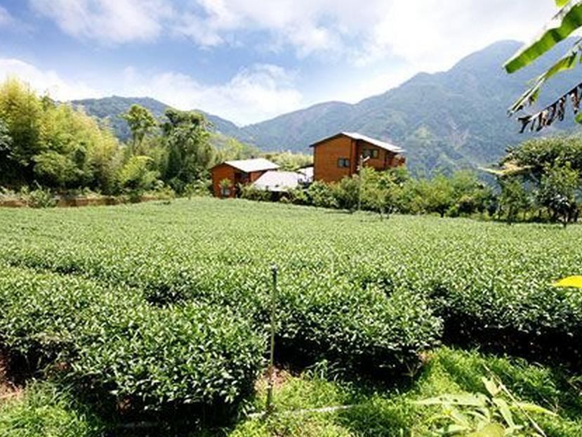 Walk Cloud Bed And Breakfast Meishan Extérieur photo
