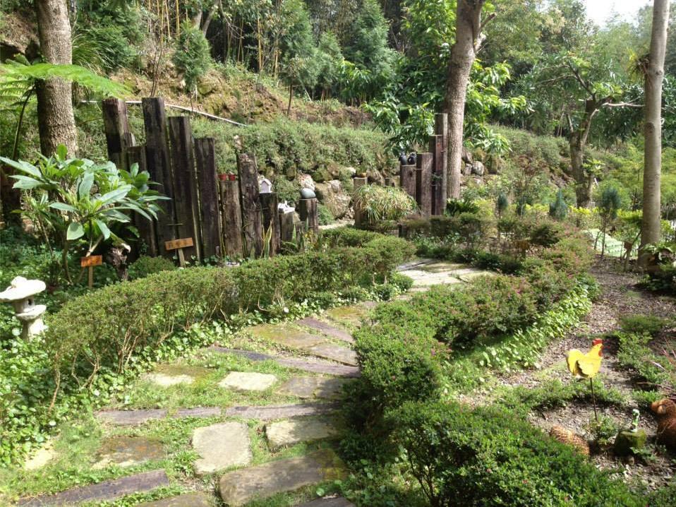 Walk Cloud Bed And Breakfast Meishan Extérieur photo